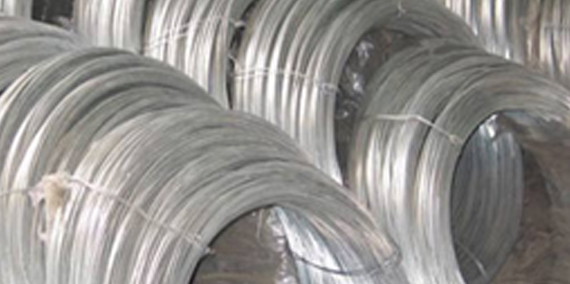 social-resposibility