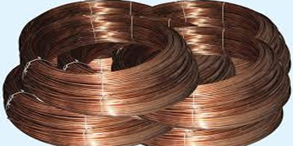 social-resposibility